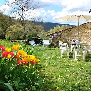 Casa Al Miglio Italy